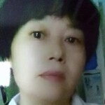 白云木子
