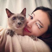 猫九儿海报