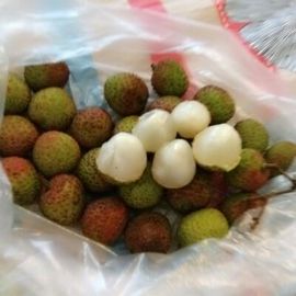 ✨媳婦⭐求🌙帶走✨主播照片