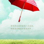 单翼o