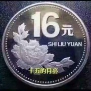 斌zq
