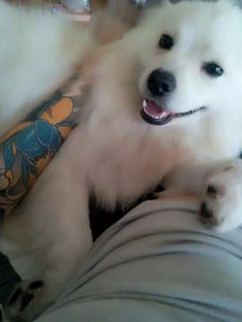 虎儿《《《《主播照片
