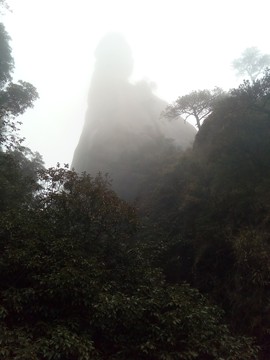 太哥哥的爱主播照片