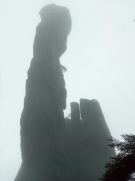 太哥哥的爱主播照片