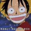 onepiece.(