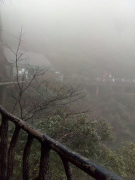 太哥哥的爱主播照片