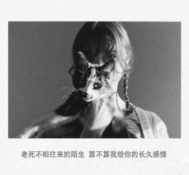 橙子（不忘初心）主播照片