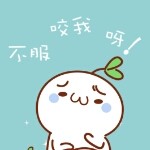 智商堪忧的小木木