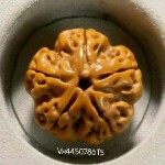 v445078615