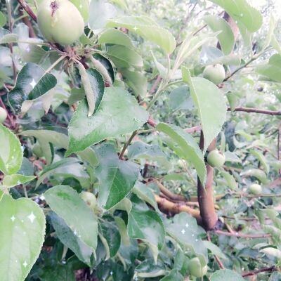 ✨媳婦⭐求🌙帶走✨主播照片
