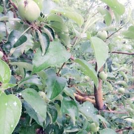 ✨媳婦⭐求🌙帶走✨主播照片