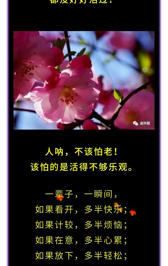 心动老哥海报