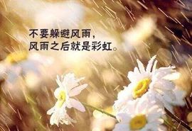 懒丫头❤双宝主播照片