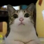 不明真相的。吃瓜群众