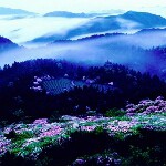 江浙小后生海报