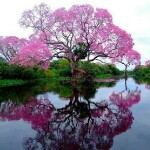童年小河石板