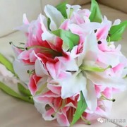 🌴🌺十月雪🌷海报