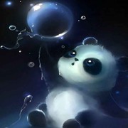 无言之夏