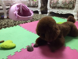 小宝娘亲主播照片