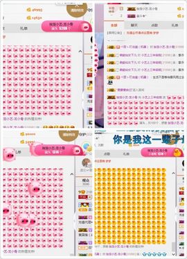 小艺停播主播照片