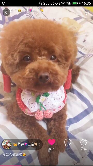 ✨媳婦⭐求🌙帶走✨主播照片
