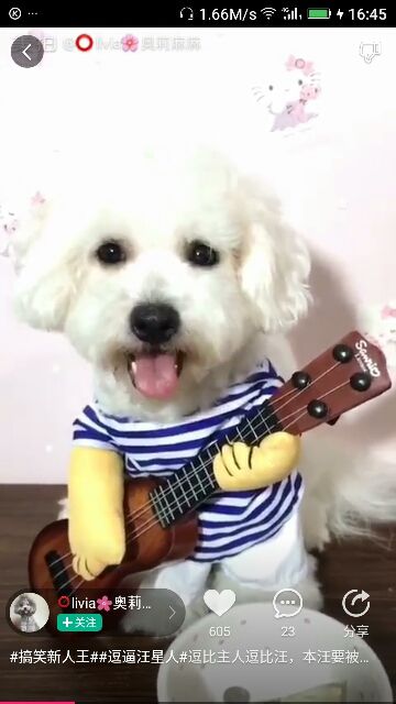 ✨媳婦⭐求🌙帶走✨主播照片