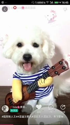 ✨媳婦⭐求🌙帶走✨主播照片