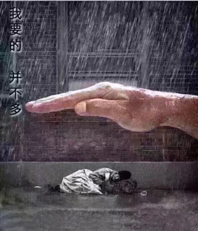 爱发呆✔小雨的主播照片