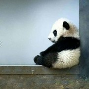 嗯！我是柚子