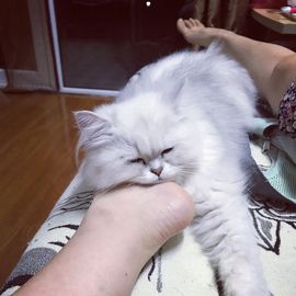 ♓️77～主播照片