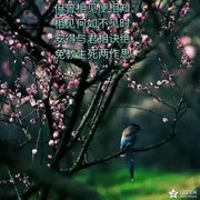 小镯e