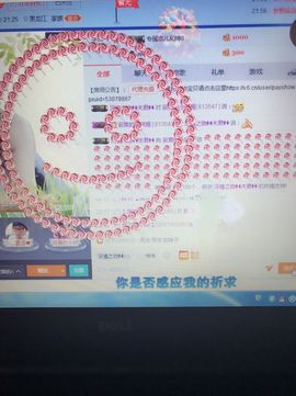 丹从心开始求老板主播照片