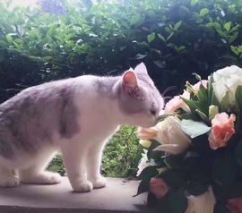 雨中怡人主播照片