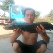♛逍遥的主播照片