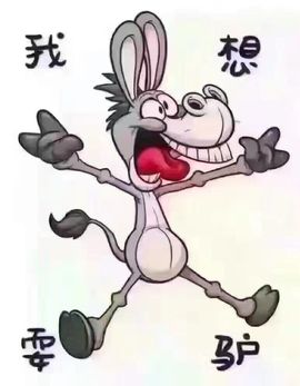 源宝儿😊主播照片