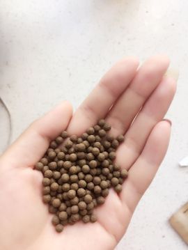 嗯哼……！主播照片