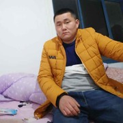 张志愿海报
