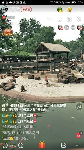 婷妹外卖小姐姐主播照片