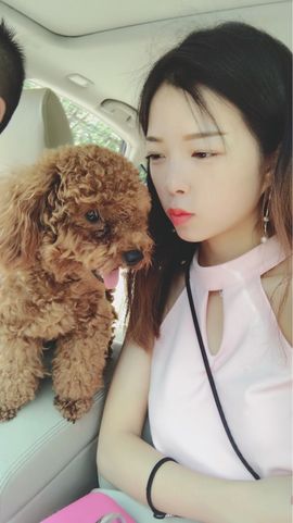 亲亲丿宝宝主播照片