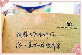 菲儿💅主播照片