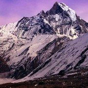 涵涵的≈心跳的头像