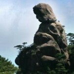 为桃子而来