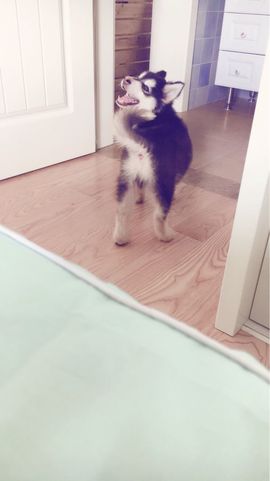 九公主99主播照片