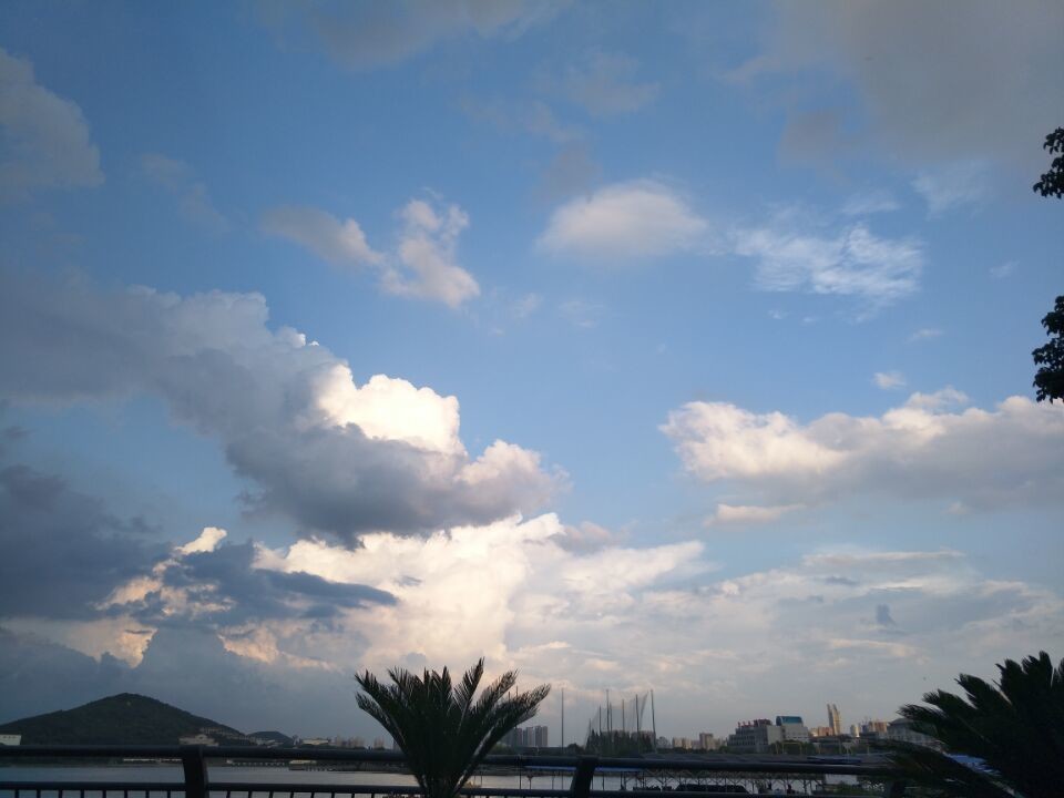 ?﹏菓寶゜微光向暖?的主播照片