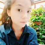京师古茶🍵宝妹👼