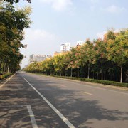 不是我的n
