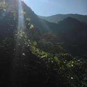 贺金军*