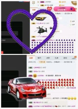 海鸽晚上播主播照片