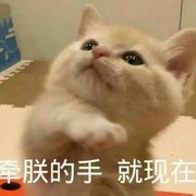 海多姆.发威