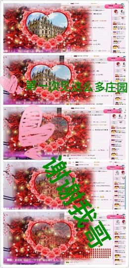❤猫咪❤落幕🍂❤主播照片